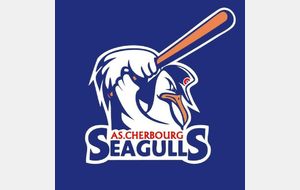 Cherbourg - Seagulls